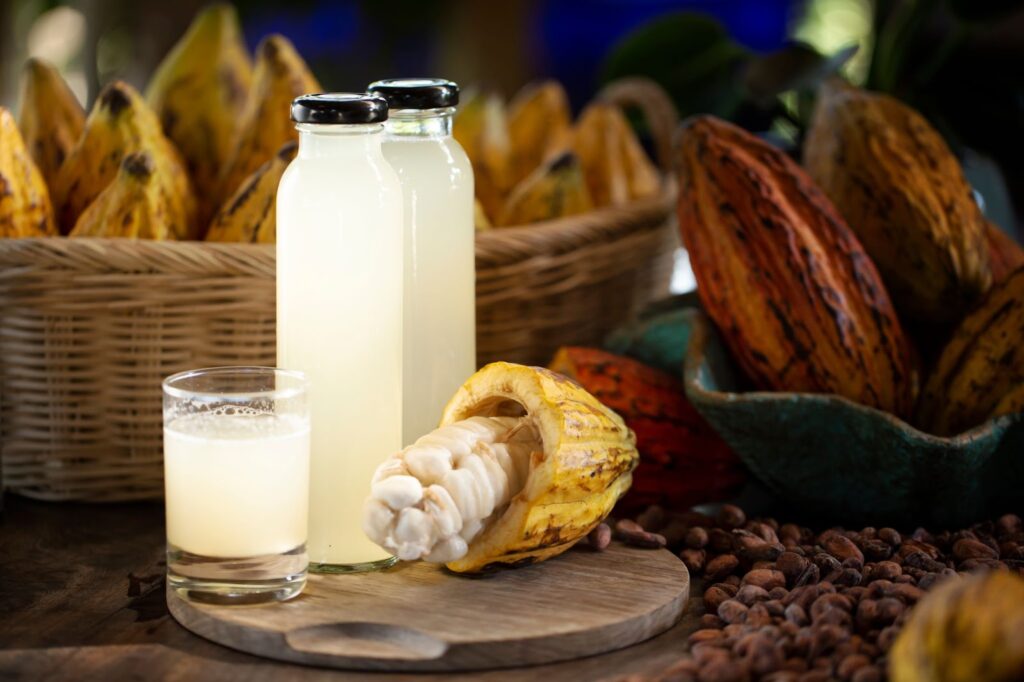 Interview mit Anian, Mitgründer und Geschäftsführer von Koa Switzerland AG